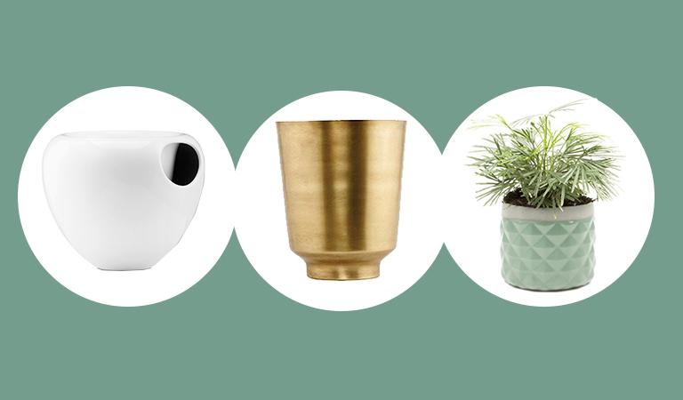 CULT BUYS: PLANTERS